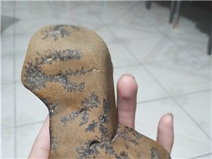奇石鸭子自己在沙场捡到